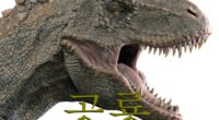 韓国語で「恐竜」の【공룡(ゴンリョン)】をタメ語で覚えよう！