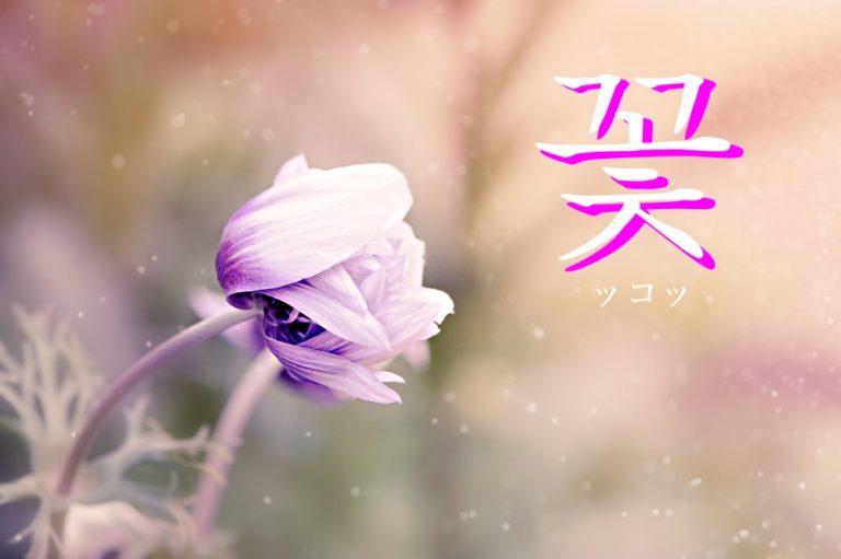 koreanword-flower