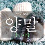 koreanword-socks