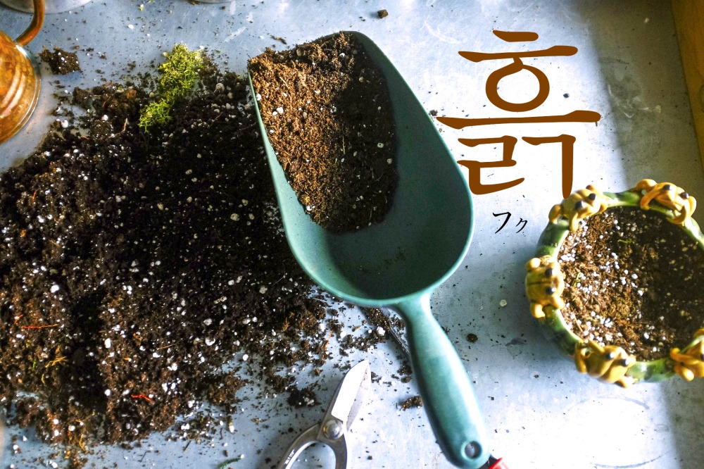 koreanword-soil