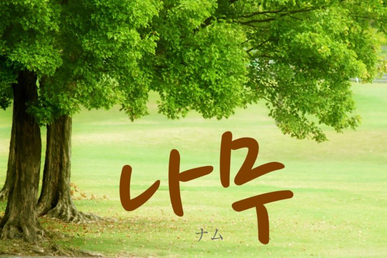 koreanword-tree