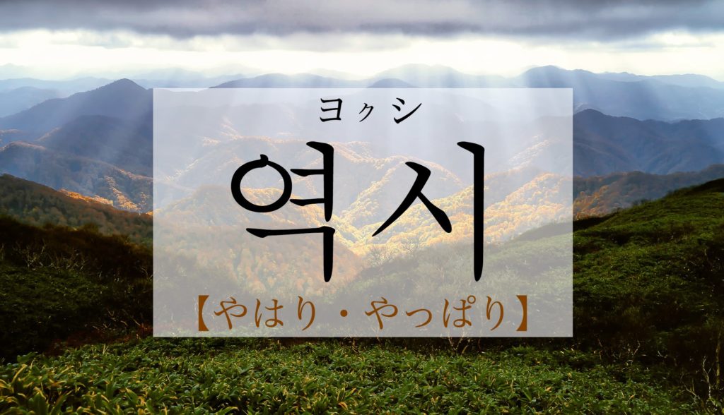 koreanword-as-expected