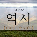 koreanword-as-expected
