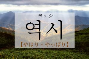 koreanword-as-expected