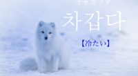 韓国語で「冷たい」の【차갑다(チャガプタ)】の活用や発音・例文は？
