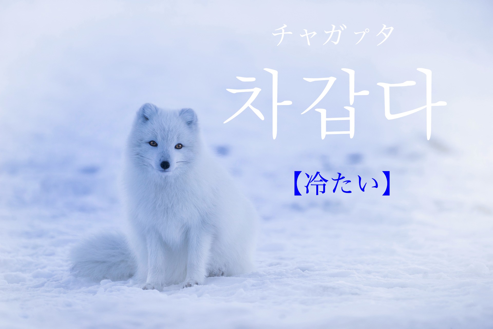 koreanword-cold