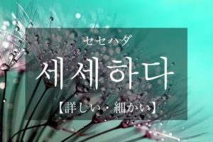 koreanword-be-detailed