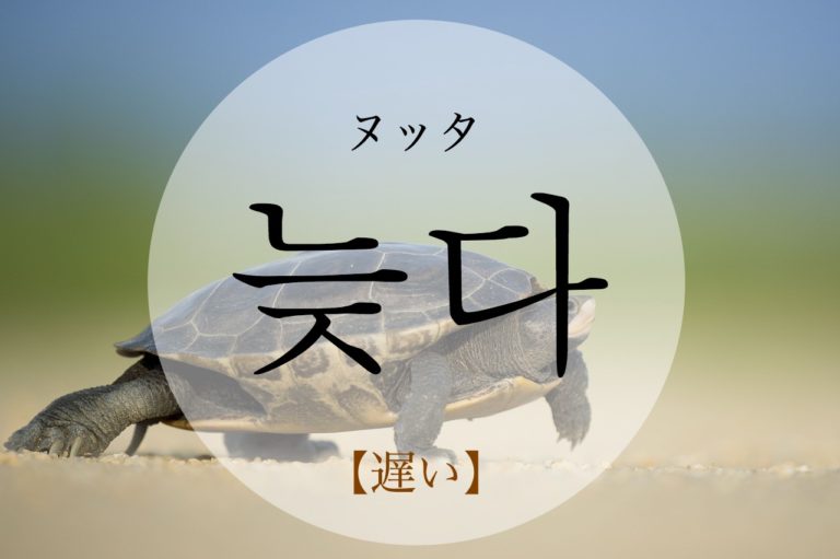 koreanword-late