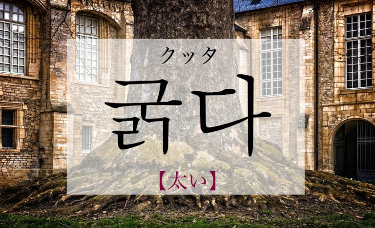 koreanword-thick