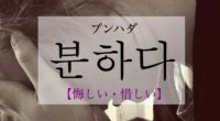 韓国語で「悔しい・惜しい」の【분하다(プンハダ)】の活用や発音・例文は？