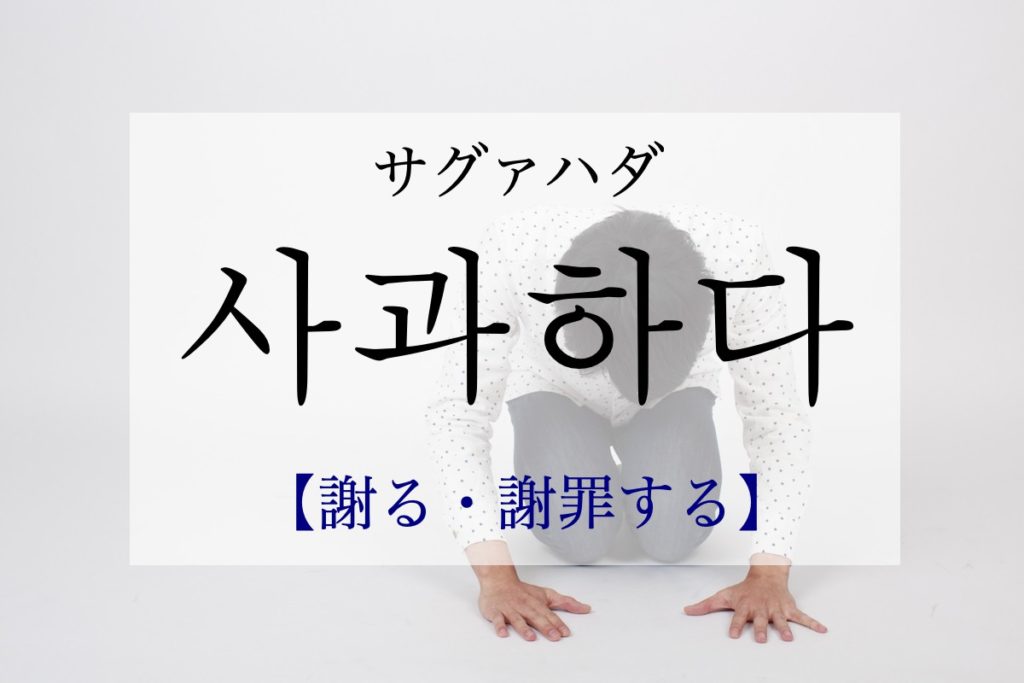 koreanword-apologize