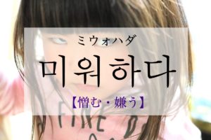 koreanword-dislike