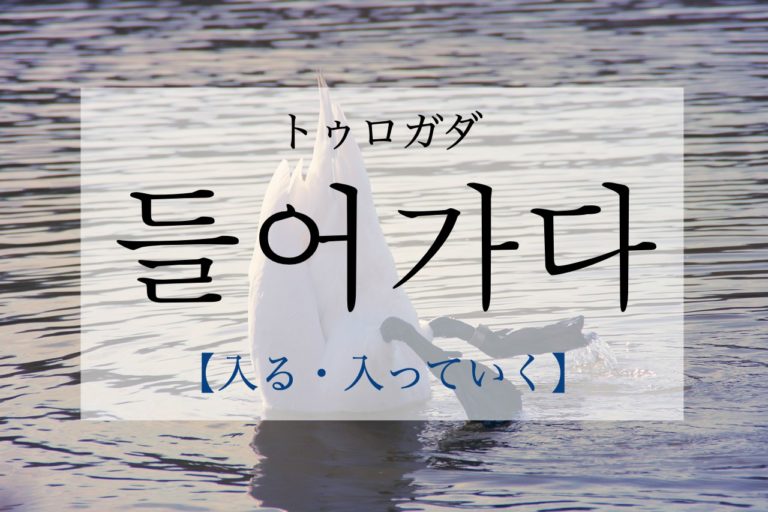 koreanword-go-in