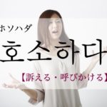 koreanword-give-appeal