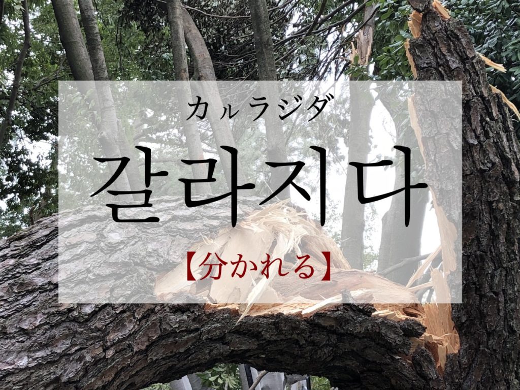 koreanword-to-separate