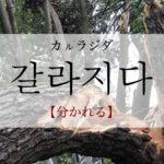 koreanword-to-separate