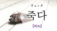 韓国語で「死ぬ」の【죽다(チュクタ)】の例文・活用や発音は？タメ語で覚えよう！