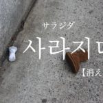 koreanword-disappear