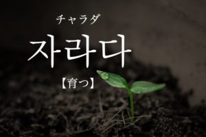 koreanword-grow-up