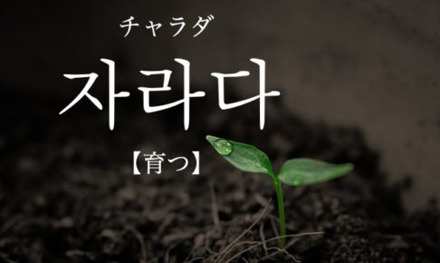 koreanword-grow-up