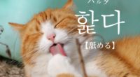 韓国語で「舐める」の【핥다(ハルタ)】の例文・活用や発音は？タメ語で覚えよう！