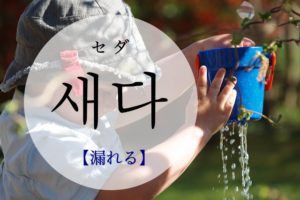 koreanword-leak