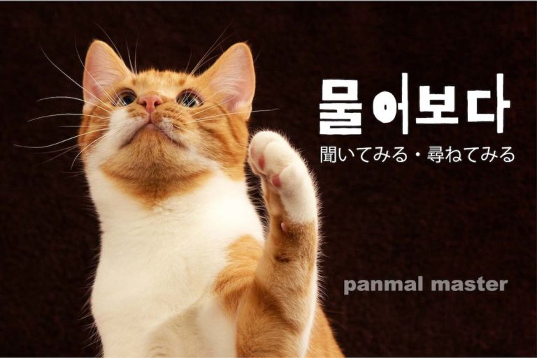 korean-words-ask