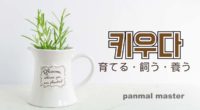 韓国語で「育てる・飼う・養う」の【키우다(キウダ)】の例文・活用や発音は？