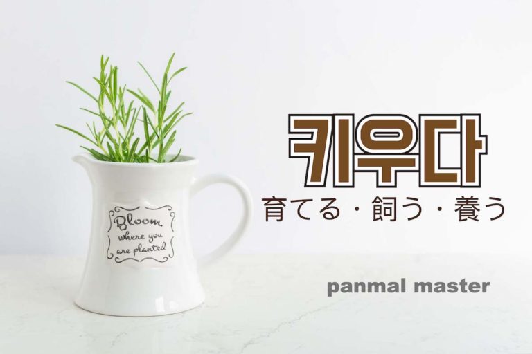 korean-words-raise