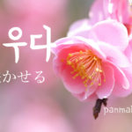 korean-words-make-open