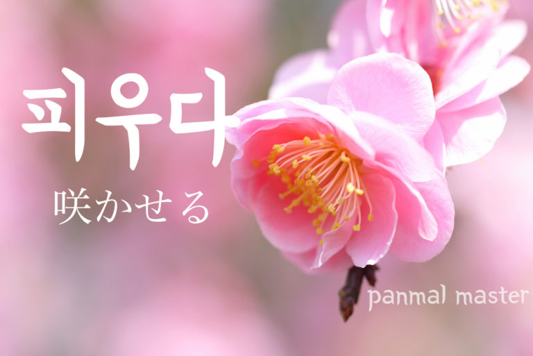 korean-words-make-open