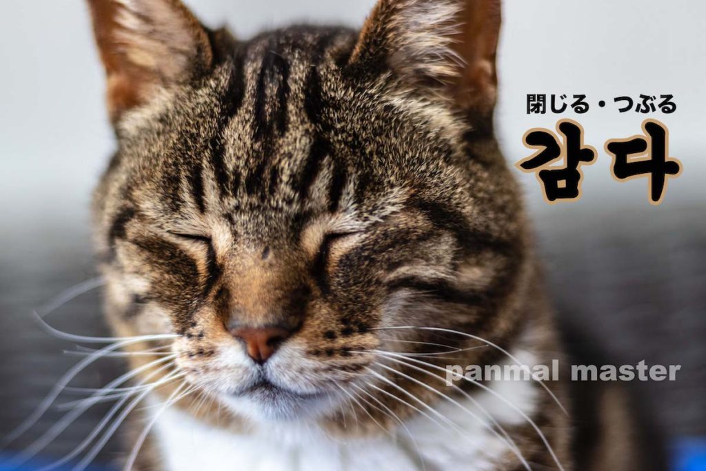 korean-words-close-wrap