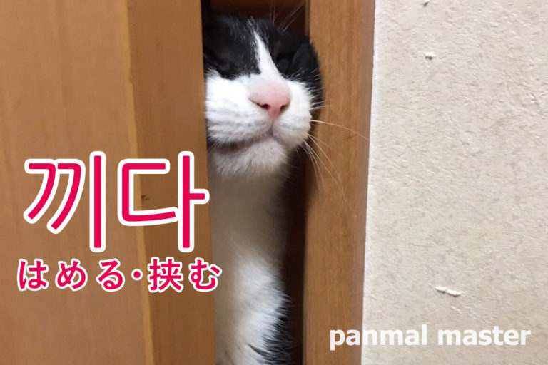 korean-words-put-on