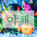 koreanword-vegetables