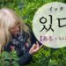 koreanword-be