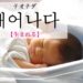 koreanword-procreate